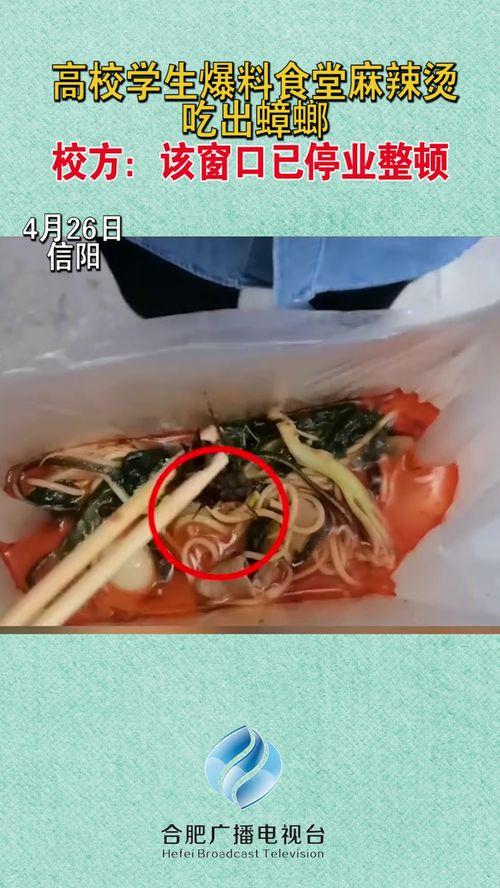 大学生爆料麻辣烫视频,大学生自制美食走红网络 第1张 大学生爆料麻辣烫视频,大学生自制美食走红网络 第1张