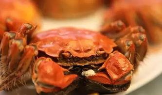 会飞的螃蟹爆料视频大全,揭秘神秘生物的空中舞步 第1张 会飞的螃蟹爆料视频大全,揭秘神秘生物的空中舞步 第1张